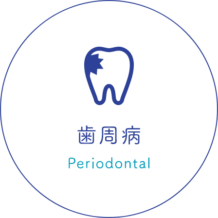 歯周病 Periodontal